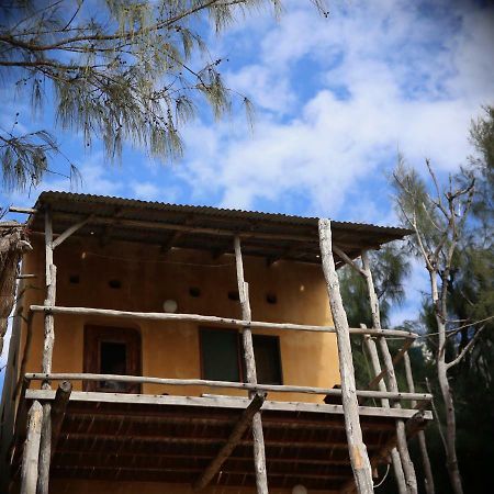 Tree House Cottage, Ocean View Praia do Tofo Exterior foto