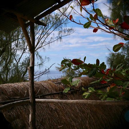 Tree House Cottage, Ocean View Praia do Tofo Exterior foto